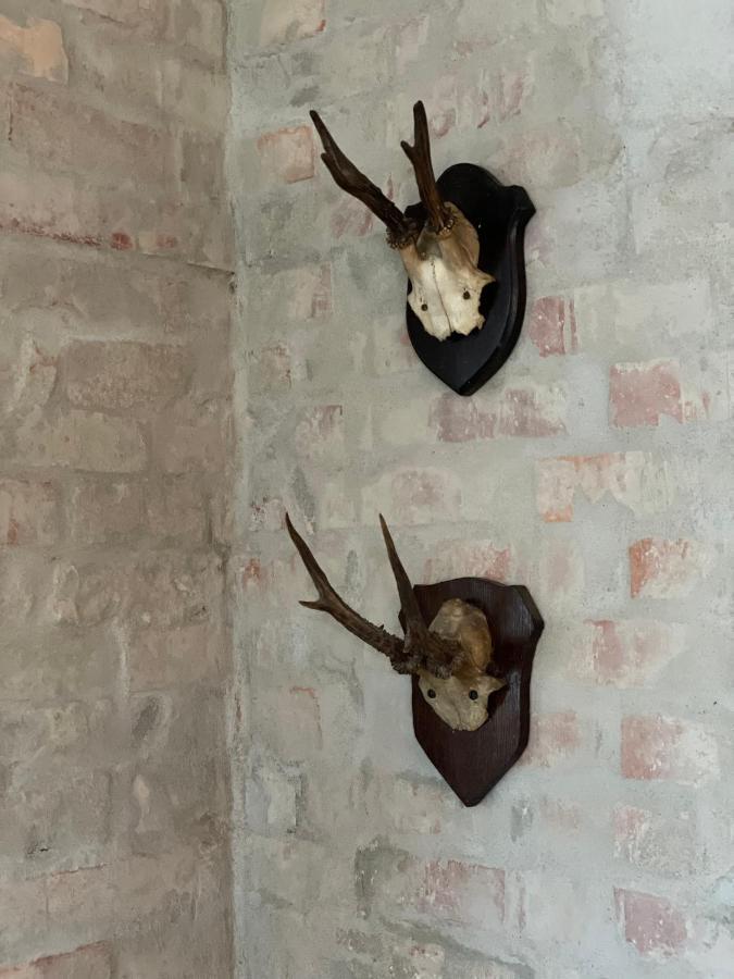 Feriehus I Skon Natur Stenstrup Екстериор снимка