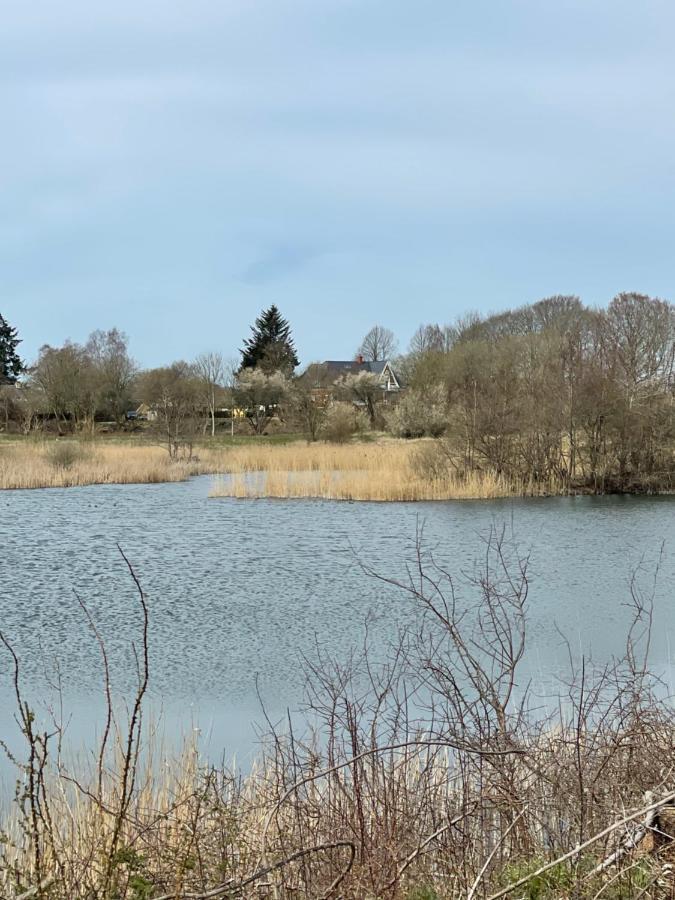 Feriehus I Skon Natur Stenstrup Екстериор снимка