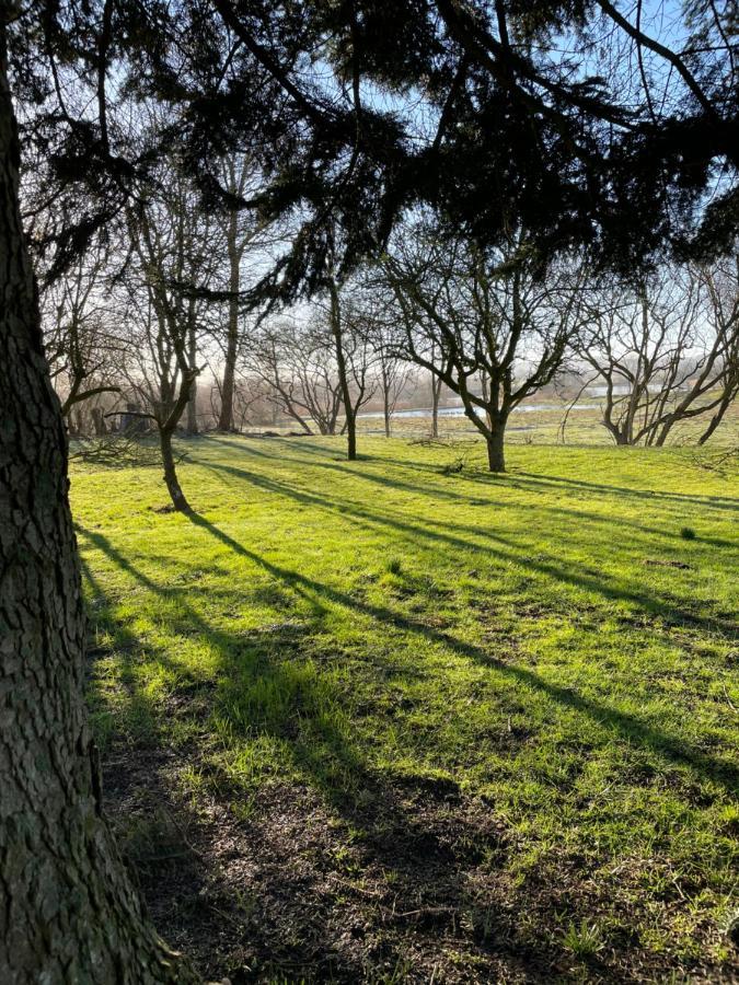 Feriehus I Skon Natur Stenstrup Екстериор снимка
